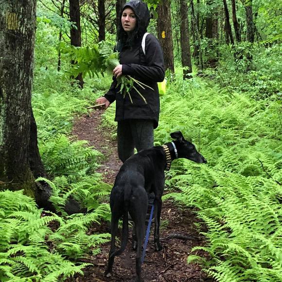 Meet your Posher, Amanda - Picture 1 of 1